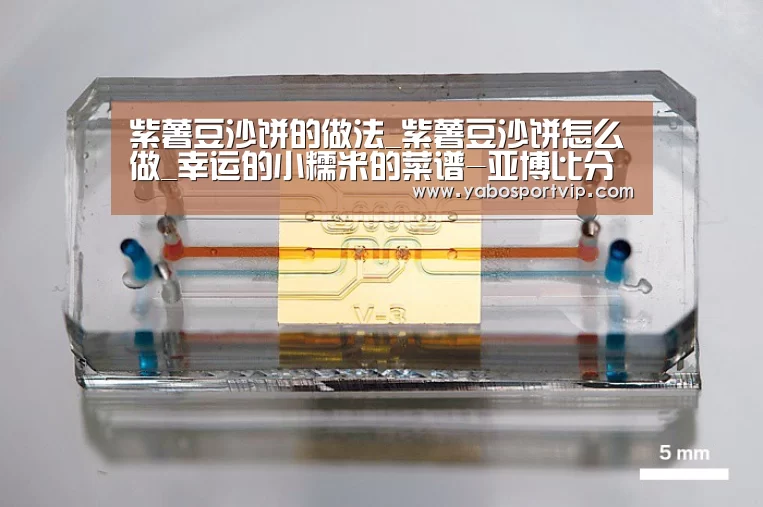 紫薯豆沙饼的做法_紫薯豆沙饼怎么做_幸运的小糯米的菜谱-亚博比分(图2) 亚博赛事