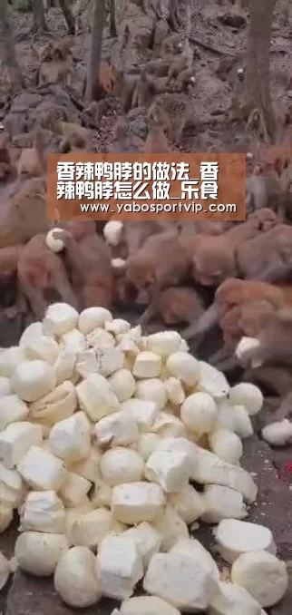 亚博赛事