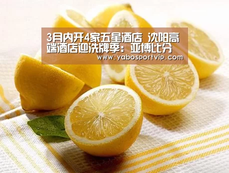 亚博比分